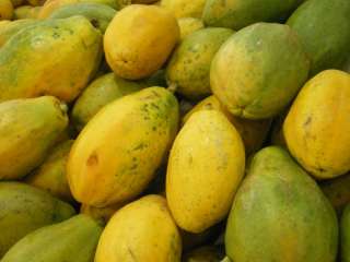 au gout de manque encore appellee papaye mangue les fruits sont verts 