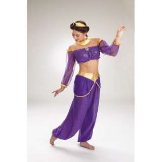 Adult Princess Jasmine Costume   Aladdin Costumes   15DG5599