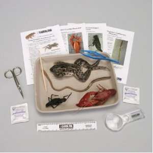 Young Scientists Animal Dissection Kit  Industrial 