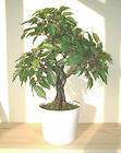   Dwarf Tree   17 (44cm)   Artificial Imitation Faux Replica Silk Plant