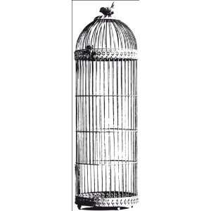 Timeless Clear Stamps Bird Cage