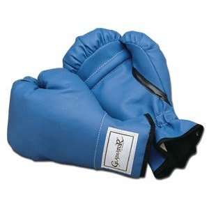  Youth Boxing Gloves: Sports & Outdoors