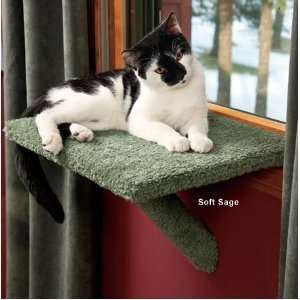  Window Cat Perch 13 W x 19 L. Color Forest Green Carpet 
