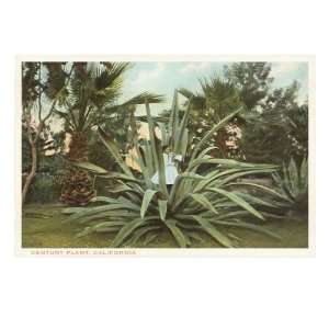 Century Plant with Little Girl Inside Premium Giclee Poster Print 