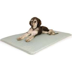 COOL BED III Canine Pet Dog Cooler Mat Pad MEDIUM  