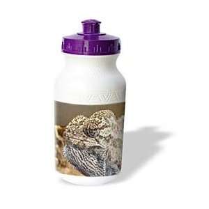  Taiche Photography   Reptiles Chameleon   Water Bottles 