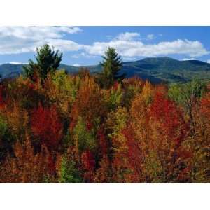  White Mountains National Forest, New Hampshire, New 