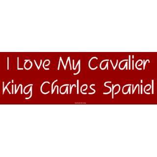  I Love My Cavalier King Charles Spaniel Bumper Sticker 