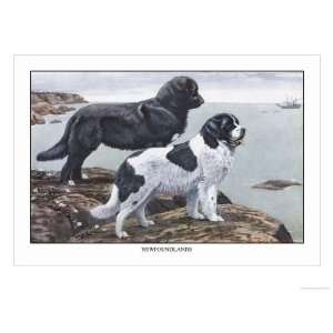   Giclee Poster Print by Louis Agassiz Fuertes, 16x12