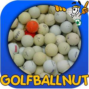 600 Hitaway/Shag Practice Used Golf Balls  