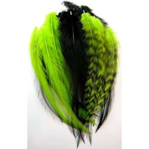 Feathermania Neon Chartreuse Feather Hair Extension   3 Feathers