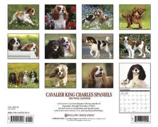 Cavalier King Charles Spaniels 2012 Calendar   NEW  