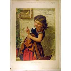   1872 Girl Kitten Anderson Bird Cage Old Print Animal