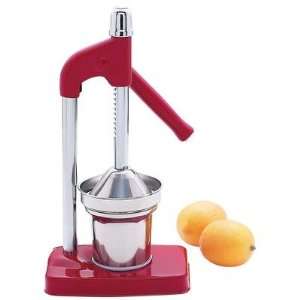   STAINLESS STEEL CUP (Kitchen Accessories   Juicers): Home & Kitchen
