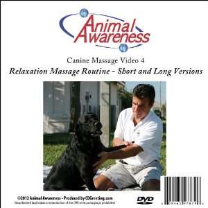  Massage DVD   Lesson 4 (Relaxation Massage Routine   Short and Long 