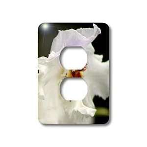 SmudgeArt Orchid Flower Designs   ORCHID   Y   Light Switch Covers   2 