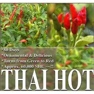  1,000 THAI HOT PEPPER seeds FOR GARDEN POTS delicious ornamental 