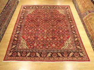   373 1009 or send me a email important information about oriental rugs