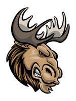 Moose head team spirit mascot temporary tattoo, pkg 10  