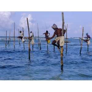 Stilt Fishermen at Welligama, South Coast, Sri Lanka, Indian Ocean 